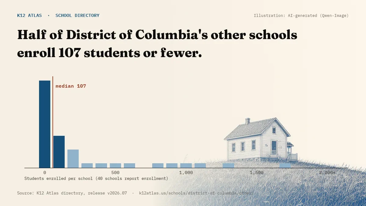 Histogram of enrollment: half of District of Columbia's other schools enroll 107 students or fewer (40 schools report enrollment).