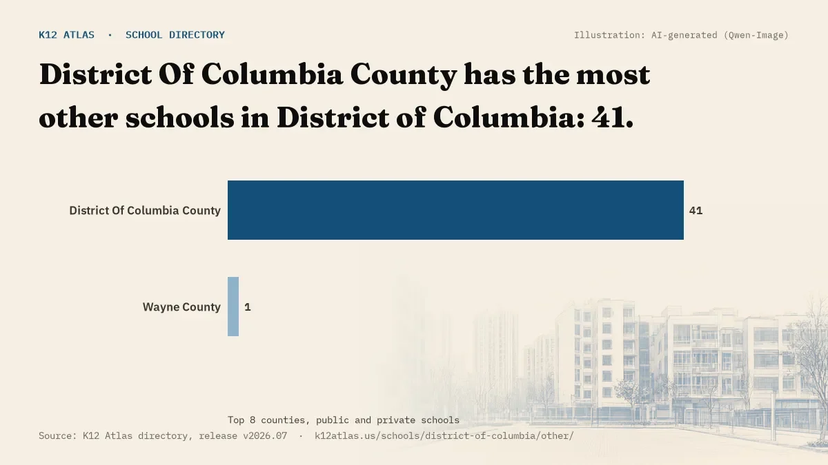 Bar chart of District of Columbia counties by number of other schools: District Of Columbia County has the most, 41.
